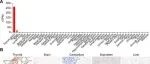 Adv Sci丨徐州医科大学杜红伟等团队研究表明靶向TSH的CAR-T细胞治疗晚期甲状腺癌可行