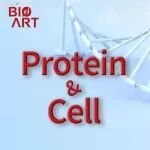 Protein & Cell&#160;|&#160;孙少琛团队揭示昼夜节律紊乱影响卵子成熟质量降低雌性繁殖力的潜在机制