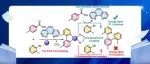 【J. Org. Chem.】北京化工大学雷鸣团队在钌催化脱羧杂芳基化反应机理研究中取得进展