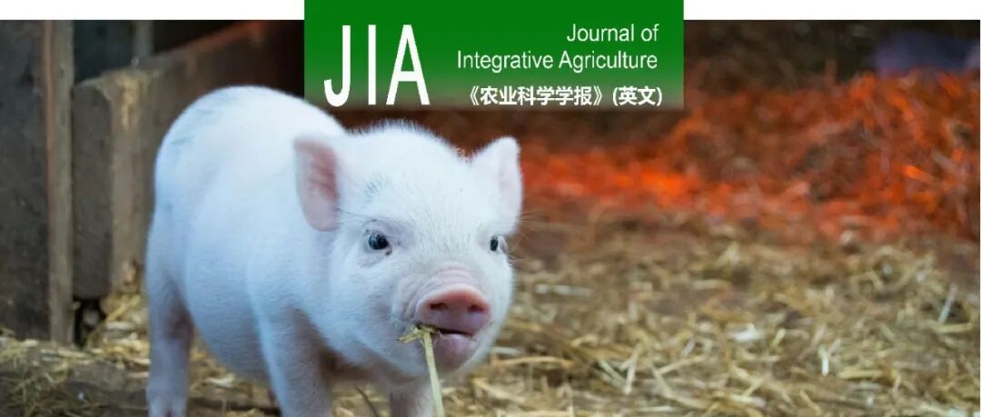 JIA | 中国农科院基因组所唐中林团队利用扩展的one-hot编码提高CNN模型对猪重要经济性状的基因组预测准确性