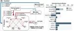 程晓莉团队在GCB、GBC和FE等期刊发表陆地生态系统碳氮磷循环系列成果