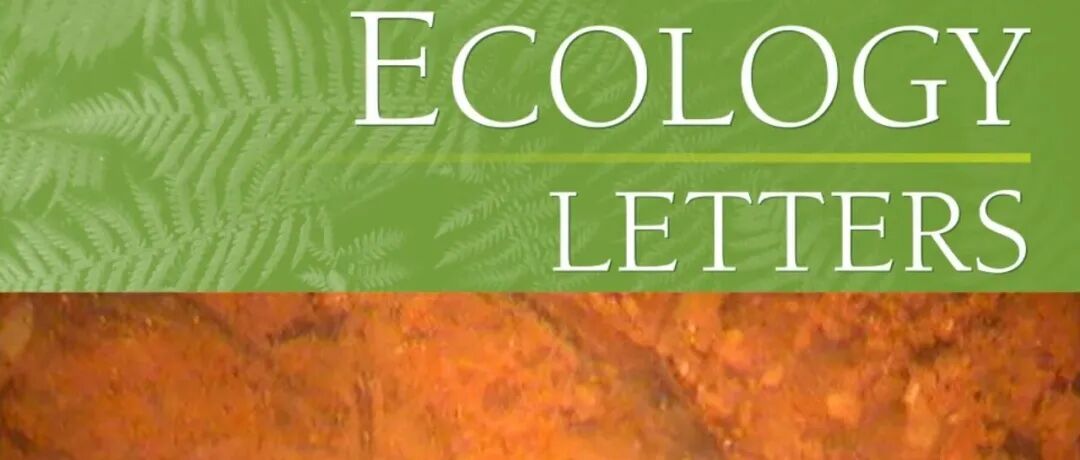Ecology Letters 封面文章 | 地理所马泽清团队揭示影响植物吸收细根寿命的“主要元凶”
