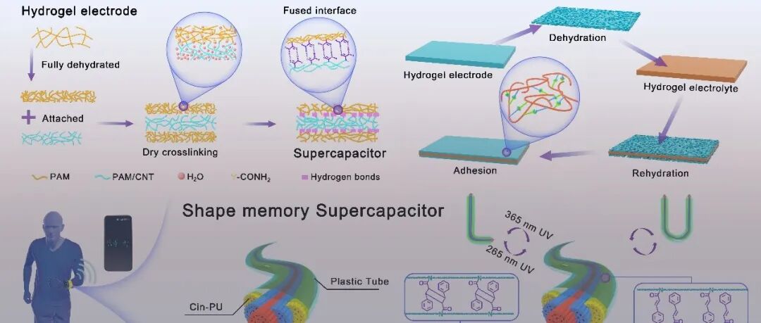 长春应化所张强、卢宇源 AFM：光驱动形状记忆超级电容器 - 可穿戴储能的安全与耐久新方案