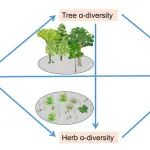 Journal of Ecology | 北京林业大学在生物多样性-生态系统多功能性关系领域取得新进展