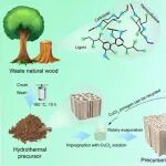 黄河科技学院《Creen Chemistry》：动力学裁剪废弃生物质衍生多孔碳的梯度孔结构，以实现高效的二氧化碳捕获