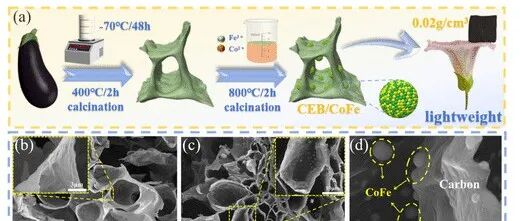 成都理工大学《ACS SCE》：以茄子为原料制备磁性碳气凝胶，用于超宽带电磁吸收和热管理