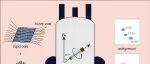 【科技前沿】中国科学技术大学项晟祺团队 | 一种有效表征固有无序区的固体核磁共振方法