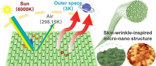 东华大学孔维庆/朱美芳团队 ACS Nano: 仿生皮肤褶皱结构复合纤维实现日间辐射制冷