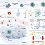 ACS Nano：多功能纳米平台可通过胆固醇调节和氧化还原信号传导重编程巨噬细胞功能以实现术后乳腺癌管理