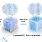 AFM | 北京科技大学王琦等人研究制备的基于PVA的抗菌水凝胶具有协同增强的导热性和机械性能