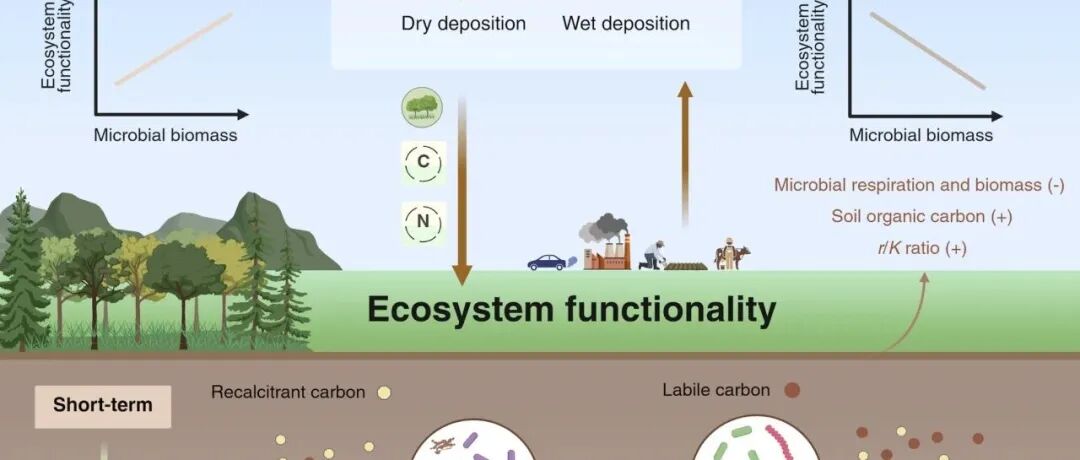 全球尺度Meta分析丨GLOBAL CHANGE BIOL：氮肥施用随时间推移逆转微生物生物量与功能的关系