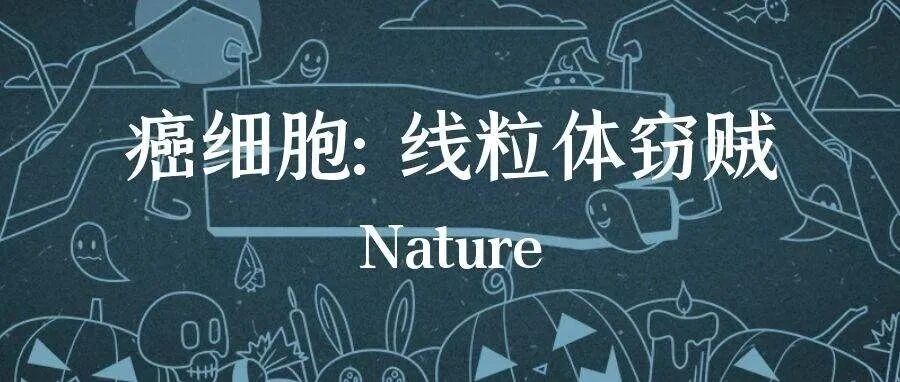 Nature：癌细胞：线粒体窃贼