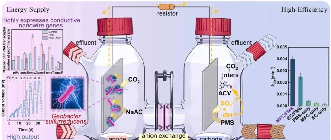 文献速递|北京林业大学ACB:通过微生物燃料电池过氧单硫酸盐活化实现阿昔洛韦的高效低能耗降解