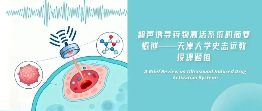 超声诱导药物激活系统的简要概述——天津大学史志远教授课题组