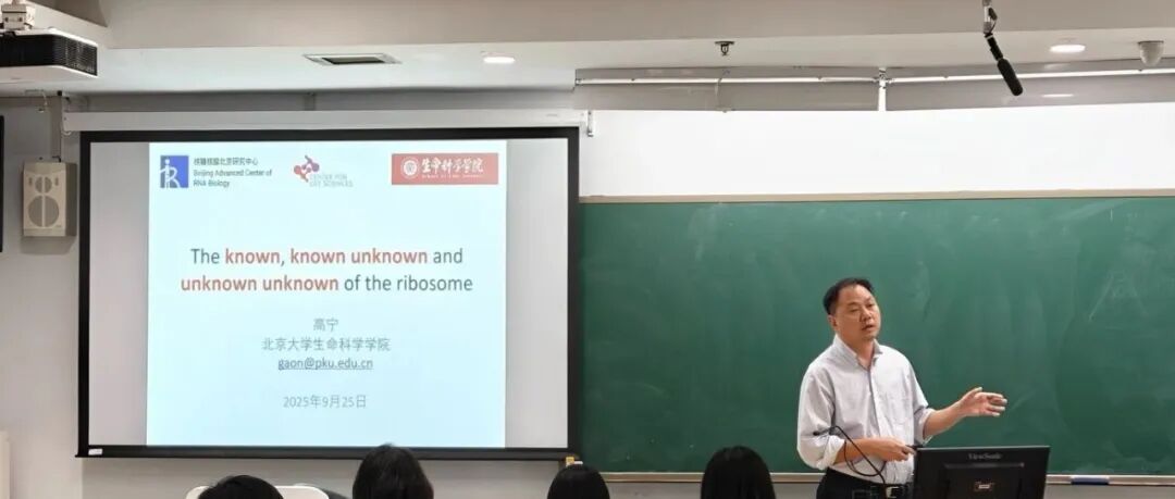 高宁：The known, known unknown and unknown unknown of the ribosome