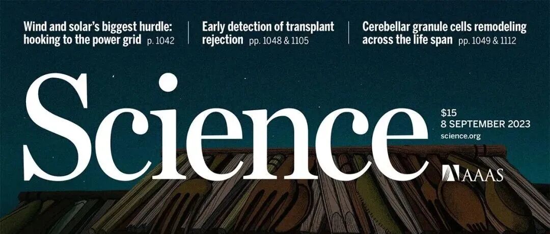 Science封面 | 何国俊/潘聿航等发现将默认设置改为“不使用餐具”等方式，可将不使用餐具的订单份额增加648%