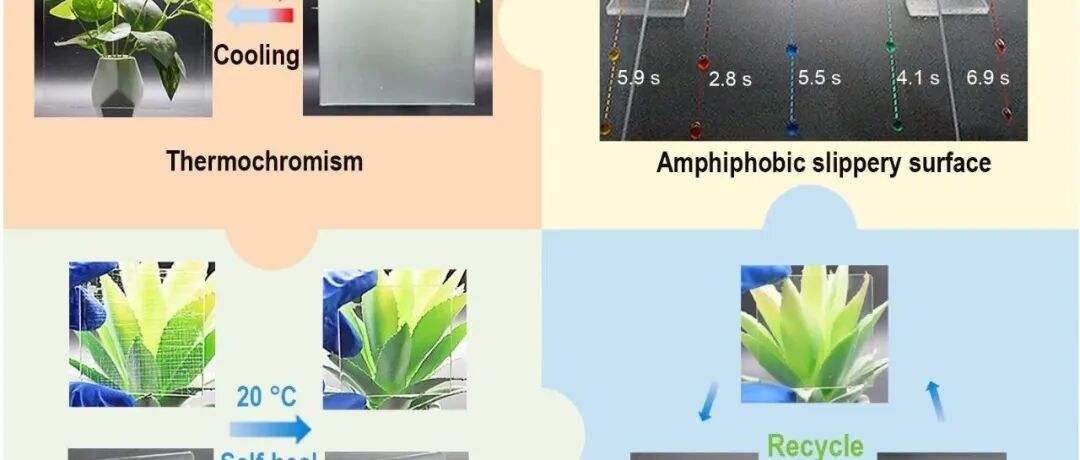 吉林大学李洋/孙俊奇团队：“自修复+双疏”双buff加持，让热致变色智能窗更干净更持久