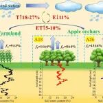 西北农林科技大学水保全重室李志教授团队一区Top期刊《Journal of Hydrology》发文