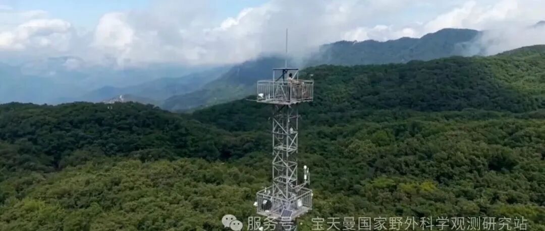 刘世荣院士和于贵瑞院士为共同通讯作者！宝天曼国家野外科学观测研究站最新科研进展