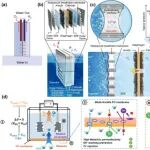 天津大学焦魁、杜青、王博文课题组最新Science Bulletin综述&#160;|&#160;直接海水电解绿色制氢的进展：新兴技术和未来前景