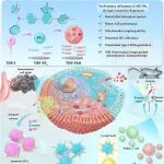 ACS Nano：通过抗衡离子调节策略工程化聚集诱导发光光敏剂以增强光动力免疫治疗