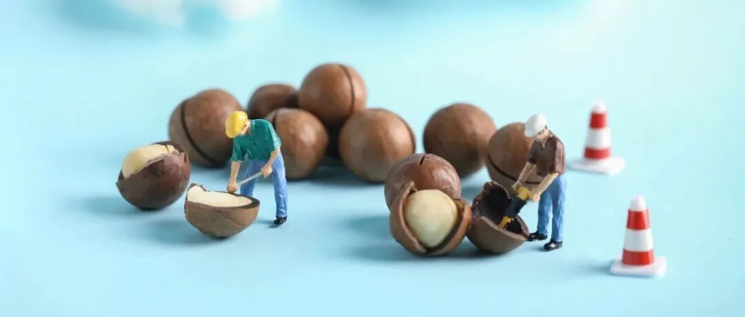 《食品科学》：唐晓宁教授、马金菊副研究员等：五倍子单宁对澳洲坚果鲜食果仁的保鲜效果