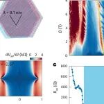 研究前沿：魔角石墨烯 | Nature Physics