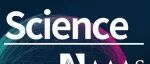 Science丨预防成纤维细胞扩张可减轻扩张性心肌病