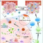Science Advances：用于单颗粒运输的声波微型夹具机器人