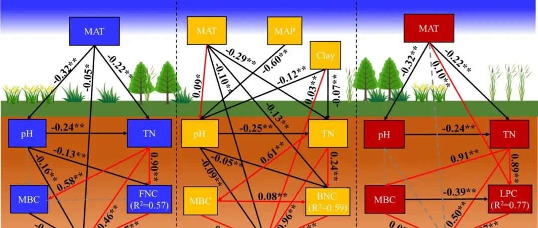 全球尺度Meta分析丨GLOBAL CHANGE BIOL：真菌残体碳主导全球土壤有机碳储量