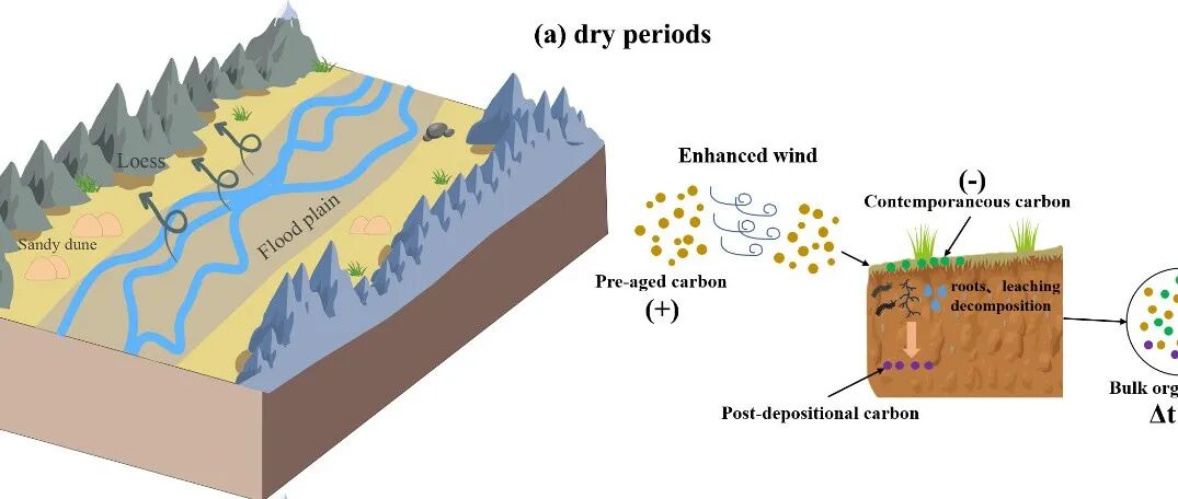 地球环境研究所揭示青藏高原黄土14C年代偏移的气候驱动机制