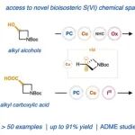 【JACS】诺奖得主MacMillan：亚砜亚胺的通用高效N-烷基化
