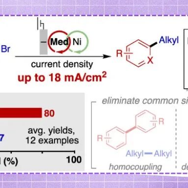 【JACS】美国科学院院士Shannon S. Stahl：镍催化eXEC反应实现最高电流密度