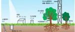 生态水文学：从关注陆地蒸散发到植被蒸腾