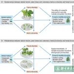 Journal of Ecology | 北京林业大学在生物多样性-生态系统多功能性关系领域取得新进展