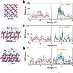 重庆大学潘复生院士团队最新AFM：调控金红石型TiO2晶面实现微米级材料高容量镁离子存储