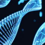 破解“暗基因组”密码！Science：发现一类能感知环境机械特性的特殊 DNA 片段