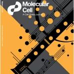 Mol Cell封面文章&#160;| 许琛琦/施小山/王皞鹏团队合作揭示抗原受体TCR信号多样性的脂质静电调控机制