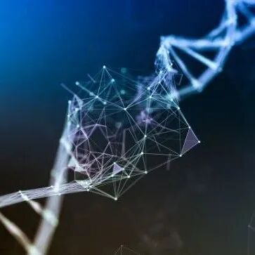 破解生命的第一道难题！《自然》：染色体遗传不出错的原因找到了