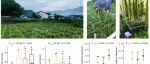 华东师范大学黎绍鹏教授团队硕士生吕冰薇在Journal of Ecology发表研究论文！