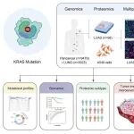 J Adv Res | 暨南大学张志毅研究员团队揭示KRAS G12突变肺腺癌蛋白质组学特征