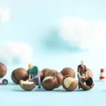 《食品科学》：广西南亚热带农业科学研究所王文林研究员等：脱氢醋酸钠处理对澳洲坚果果实保鲜效果及内生菌群落组成的影响