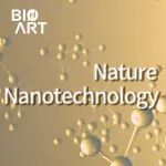 Nat Nanotechnol | 方向前/赵玥绮/唐睿康/刘昭明团队开发新型时空自适应纳米治疗剂用于促进衰老下的组织再生