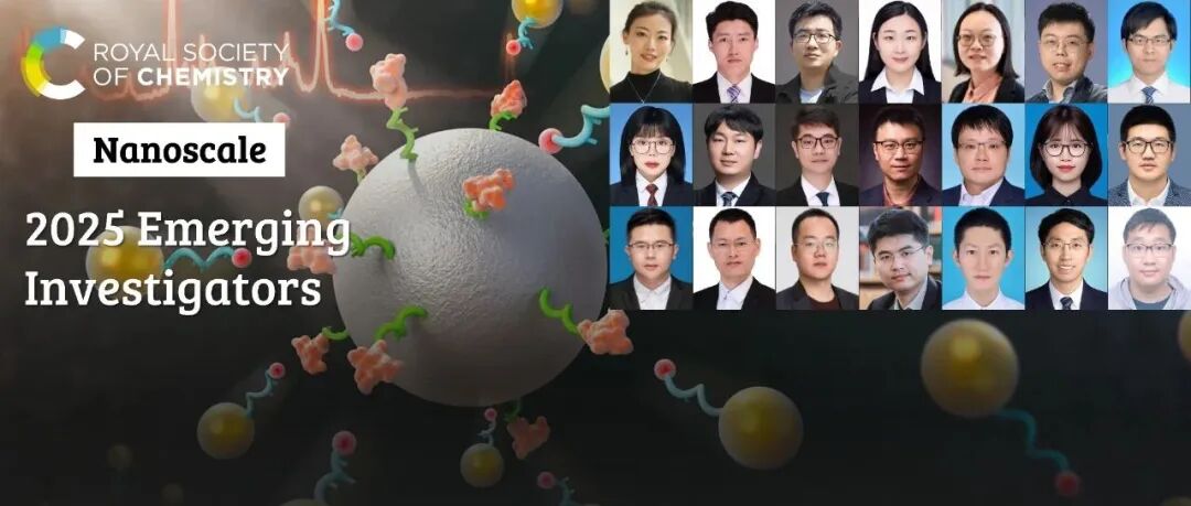 祝贺 2025 Nanoscale 新锐科学家专辑入选作者 (4)