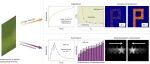 研究前沿：香港理工大学柴扬，低维材料MoS&#8322;-感内计算 | Nature Protocols