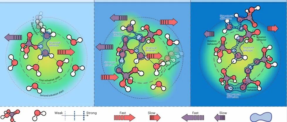 复旦大学王飞/方方/孙大林：质子电池-电解质 | Nature Materials