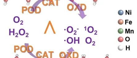 Nanoscale | 锰双位点调控层状双氢氧化物实现多酶模拟活性增强