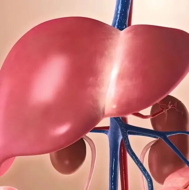 《食品科学》：浙江科技学院蔡海莺副教授等：功能性胆汁酸生物合成及应用研究进展