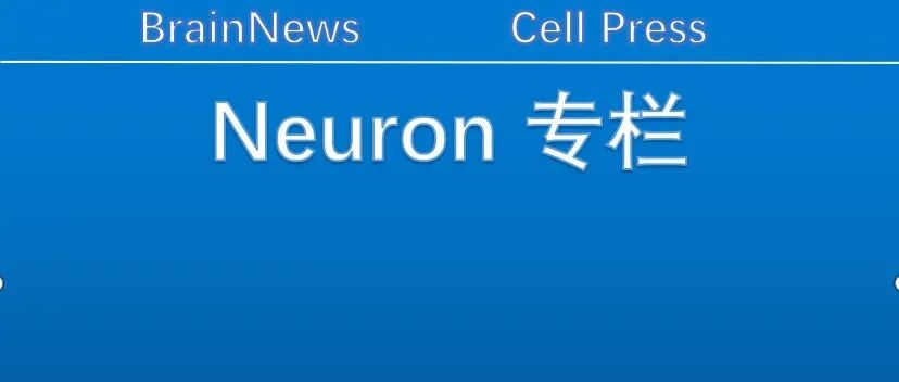 Neuron：王瑜珺/刘景根团队合作发现星形胶质细胞介导的中央杏仁核微环路调控疼痛并发焦虑的关键机制