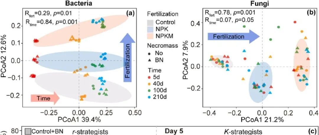 微生物残体碳分解丨SOIL BIOL BIOCHEM：水稻土壤中细菌残体分解与激发效应取决于长期施肥